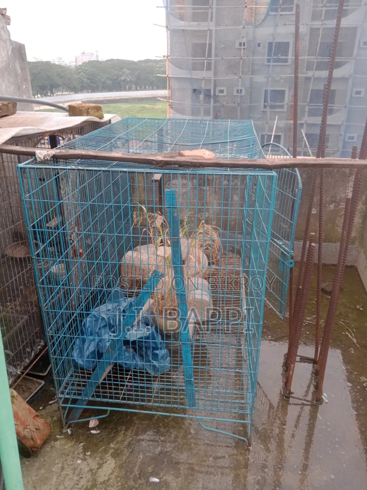 Bird keeping cage