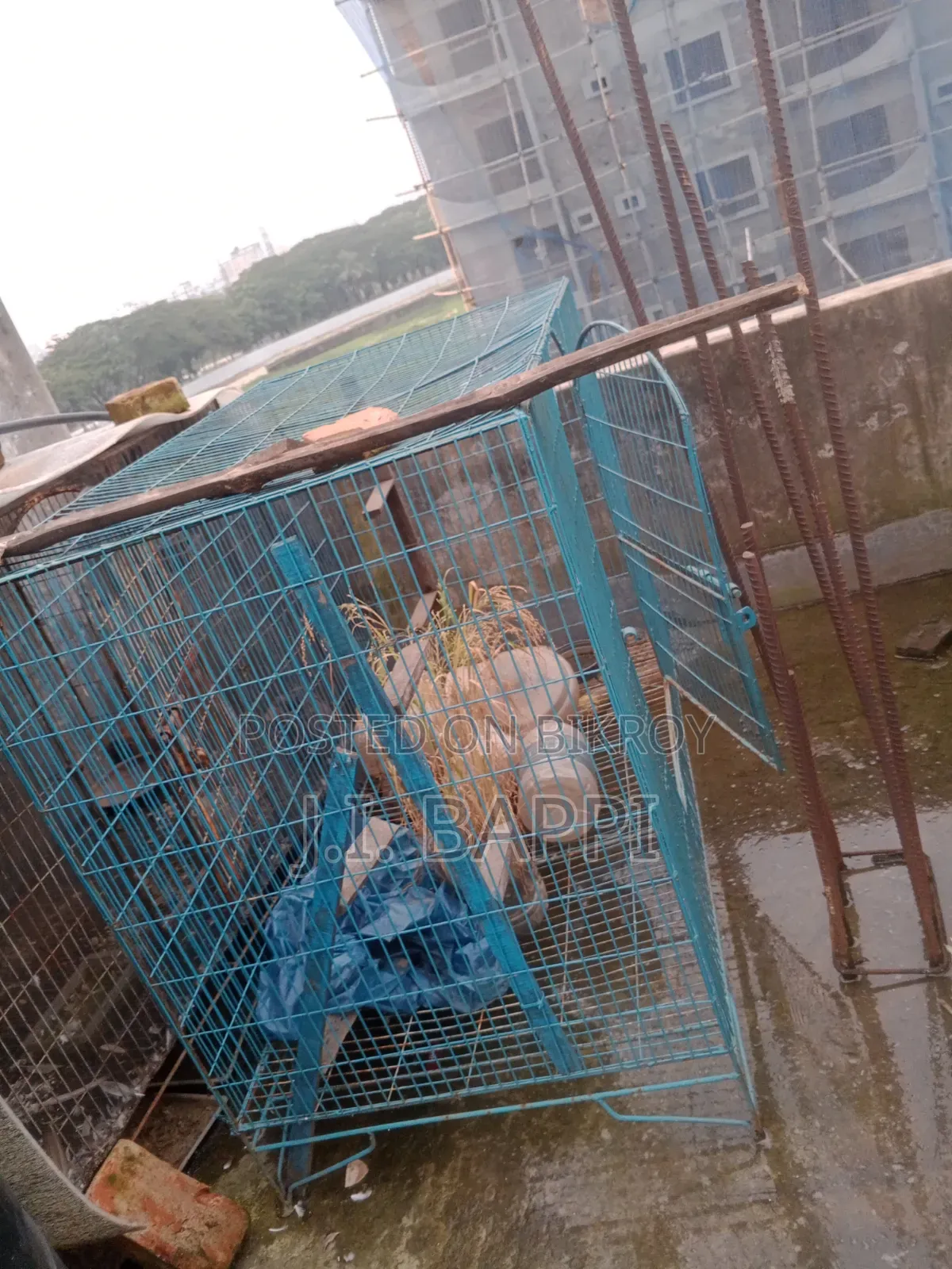 Bird keeping cage