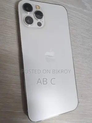 Apple iPhone 12 Pro Max 256 GB White