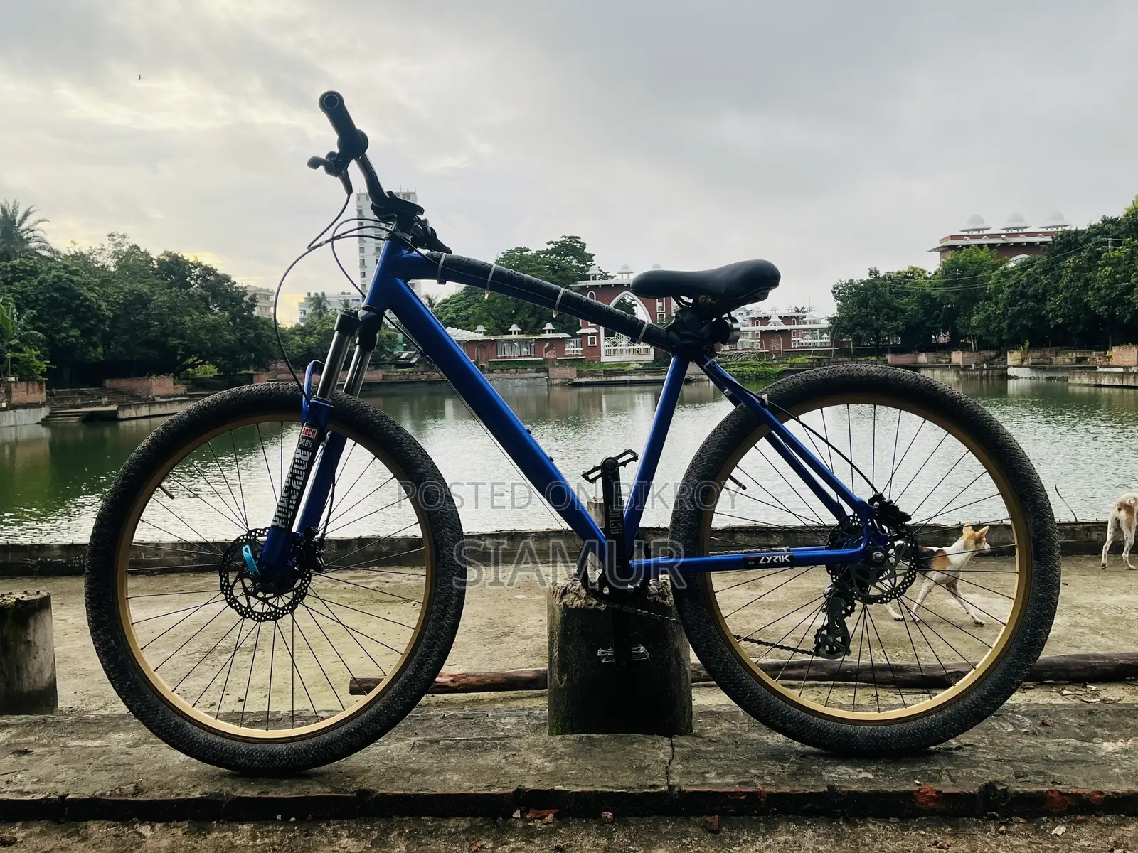 Cycle for Sell