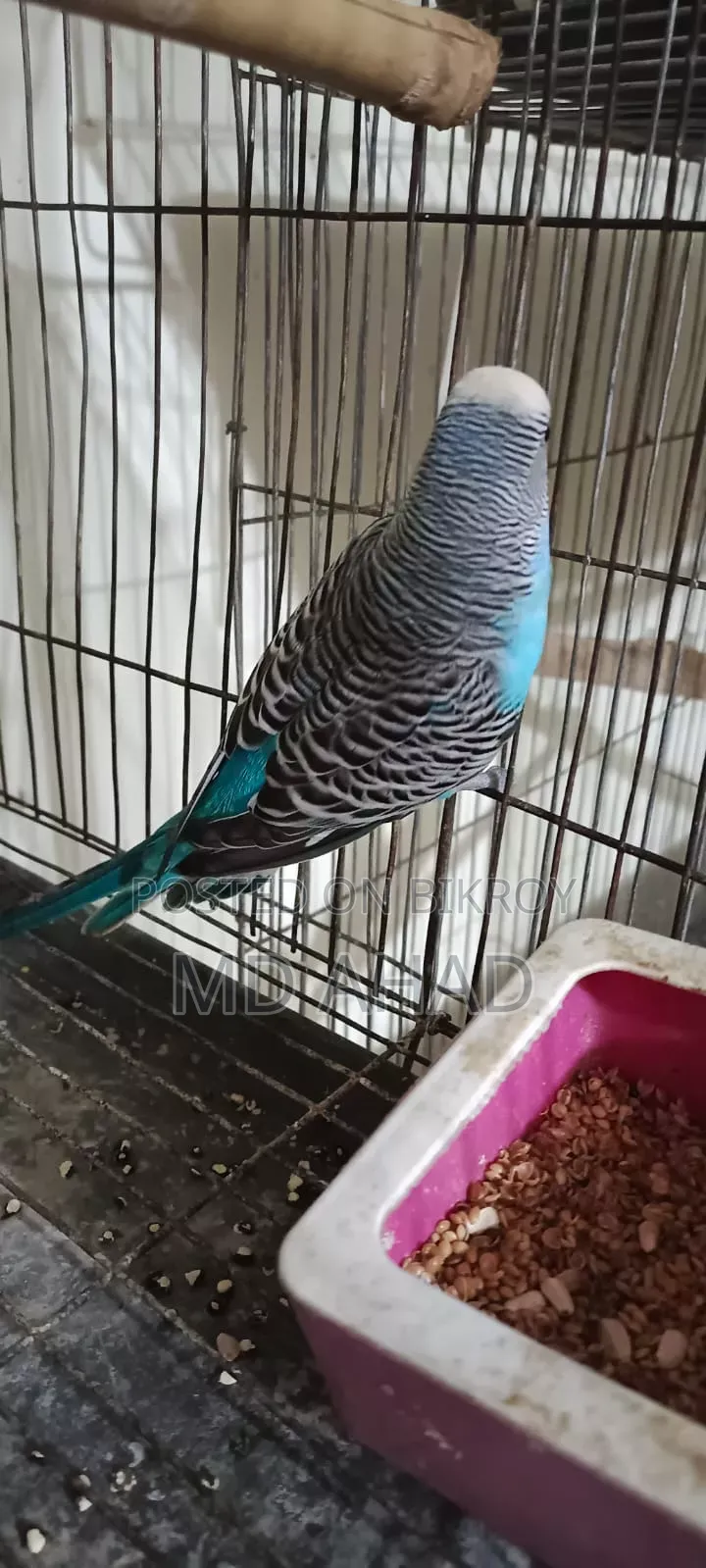চার পিছ রানিং মেল এক্সচেঞ্জ/বিক্রি করা হবে।