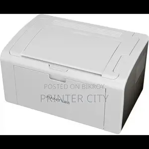 Pantum P2509 Mono Laser Single Function Printer