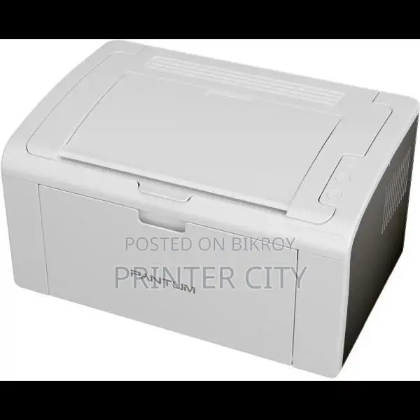 Pantum P2509 Mono Laser Single Function Printer