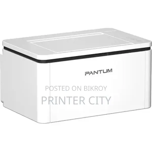 Pantum BP2310W Single Function Mono Laser Printer