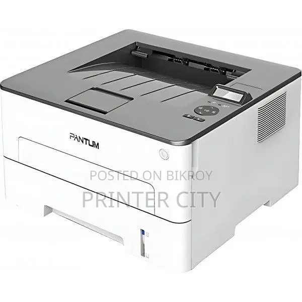 Pantum P3010DW Single Function Printer