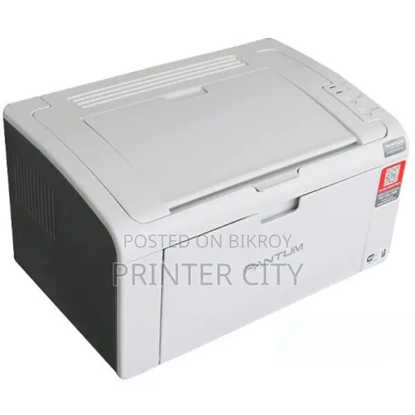 Pantum P2506W Wi-Fi Printer