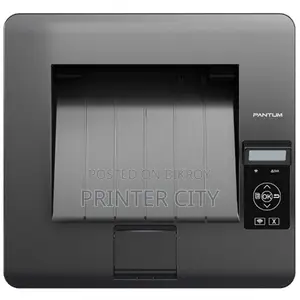 Pantum BP5100DN Single Function Printer