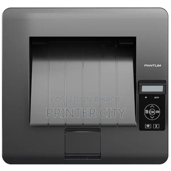 Pantum BP5100DN Single Function Printer