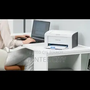 Pantum P2509 Mono Laser Single Function Printer