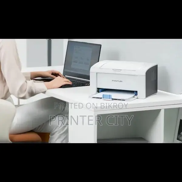 Pantum P2509 Mono Laser Single Function Printer