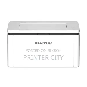 Pantum BP2310W Single Function Mono Laser Printer