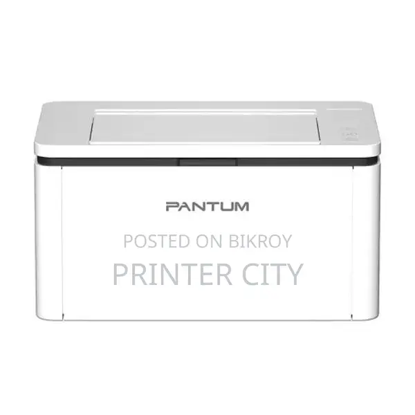 Pantum BP2310W Single Function Mono Laser Printer