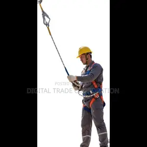 Professional Safety Harness with Double Lanyard