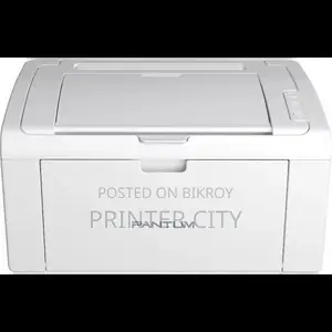 Pantum P2509 Mono Laser Single Function Printer