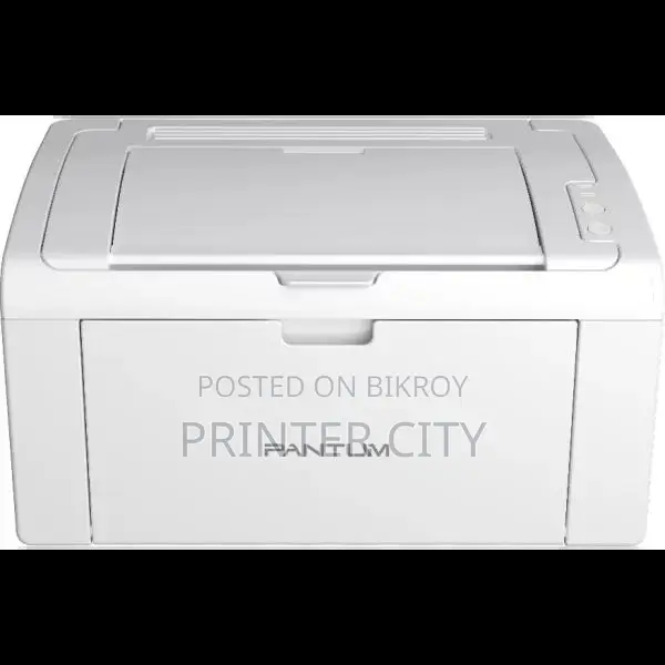 Pantum P2509 Mono Laser Single Function Printer