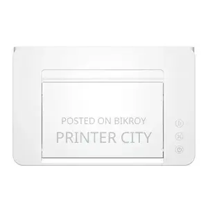 Pantum BP2310W Single Function Mono Laser Printer