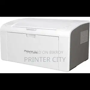 Pantum P2509 Mono Laser Single Function Printer