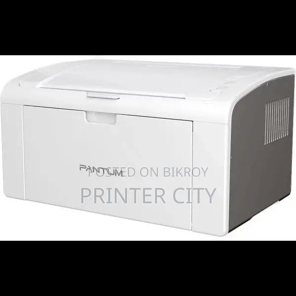 Pantum P2509 Mono Laser Single Function Printer