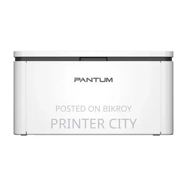 Pantum BP2310W Single Function Mono Laser Printer