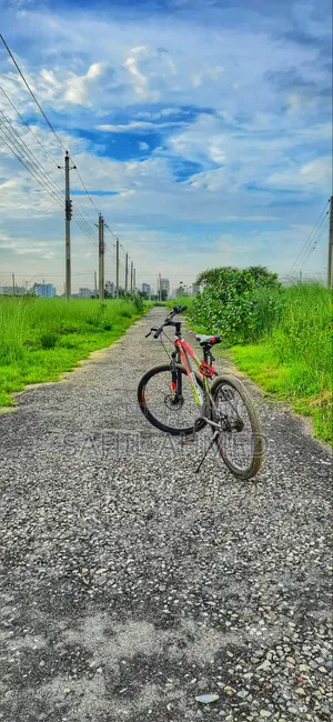Phoenix Cycle (Non Gear)