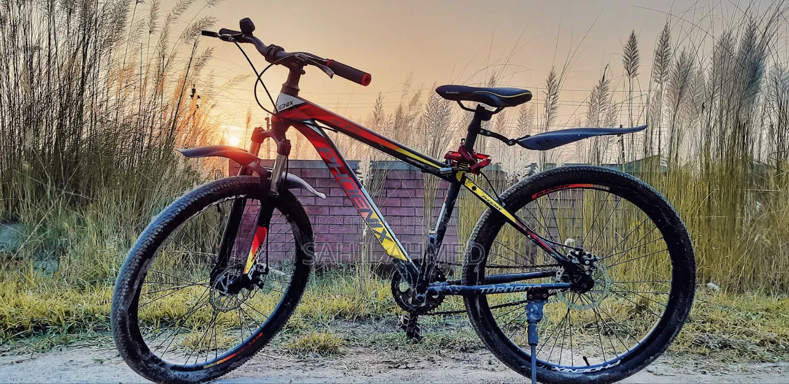 Phoenix Cycle (Non Gear)