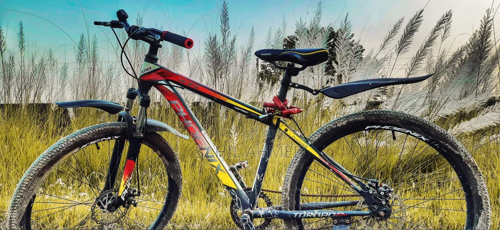 Phoenix Cycle (Non Gear)