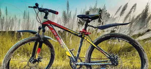 Phoenix Cycle (Non Gear)