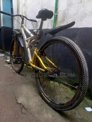 I will sell this bicycle.