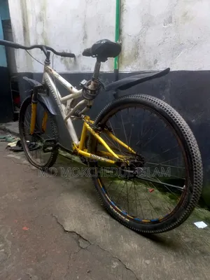 I will sell this bicycle.