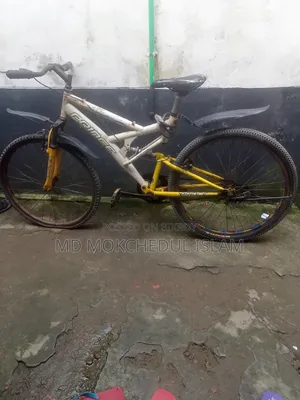 I will sell this bicycle.