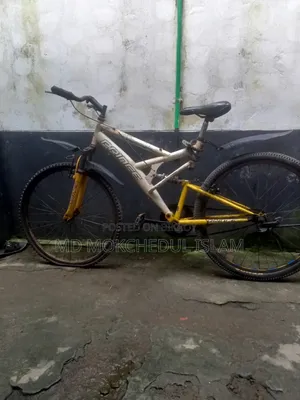 I will sell this bicycle.