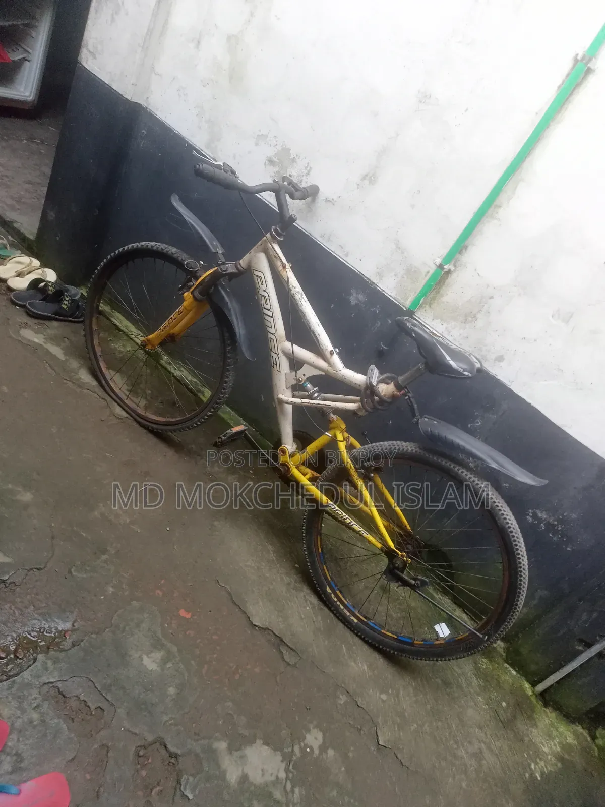 I will sell this bicycle.