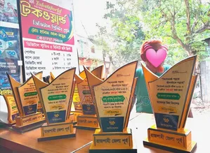 কাস্টমাইজড ক্রিস্ট
