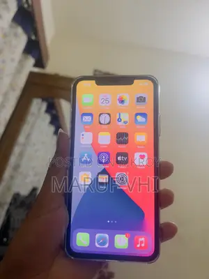 Apple iPhone 11 Pro Max 256 GB Gray