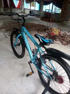 Acex Bicycle - For Sell