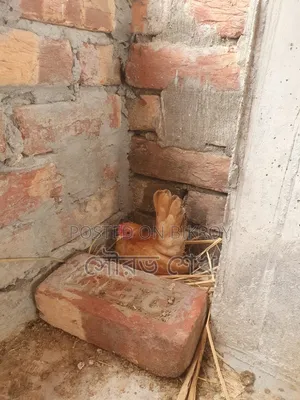 মালয়েশিয়ান শর্ট সেরেমা