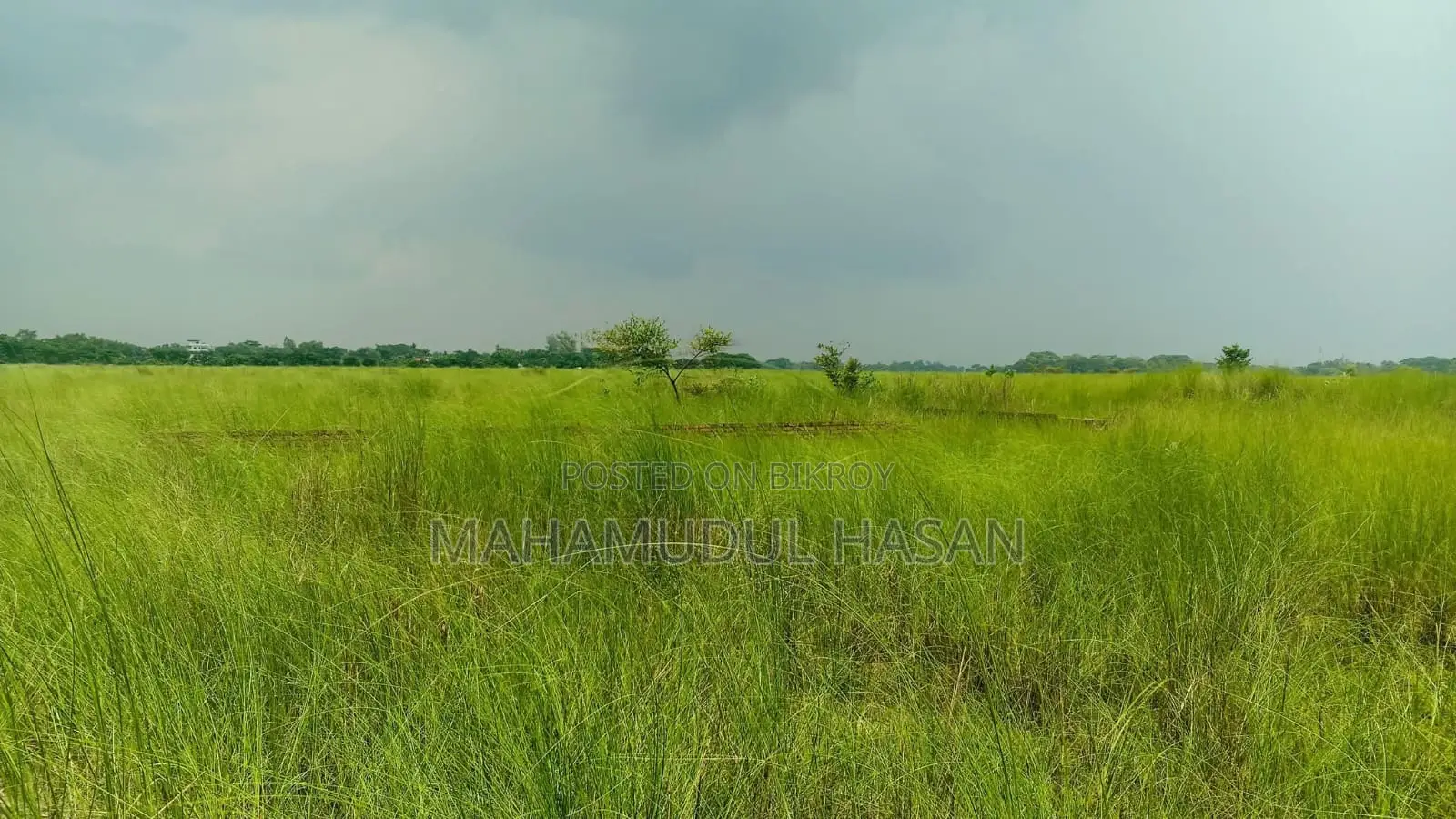 প্রশস্ত লেকের কাছে P Extension-এ ৩ কাঠা প্লট বিক্রয়
