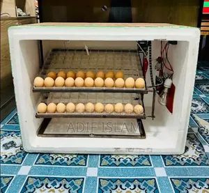 ইনকিউবেটর