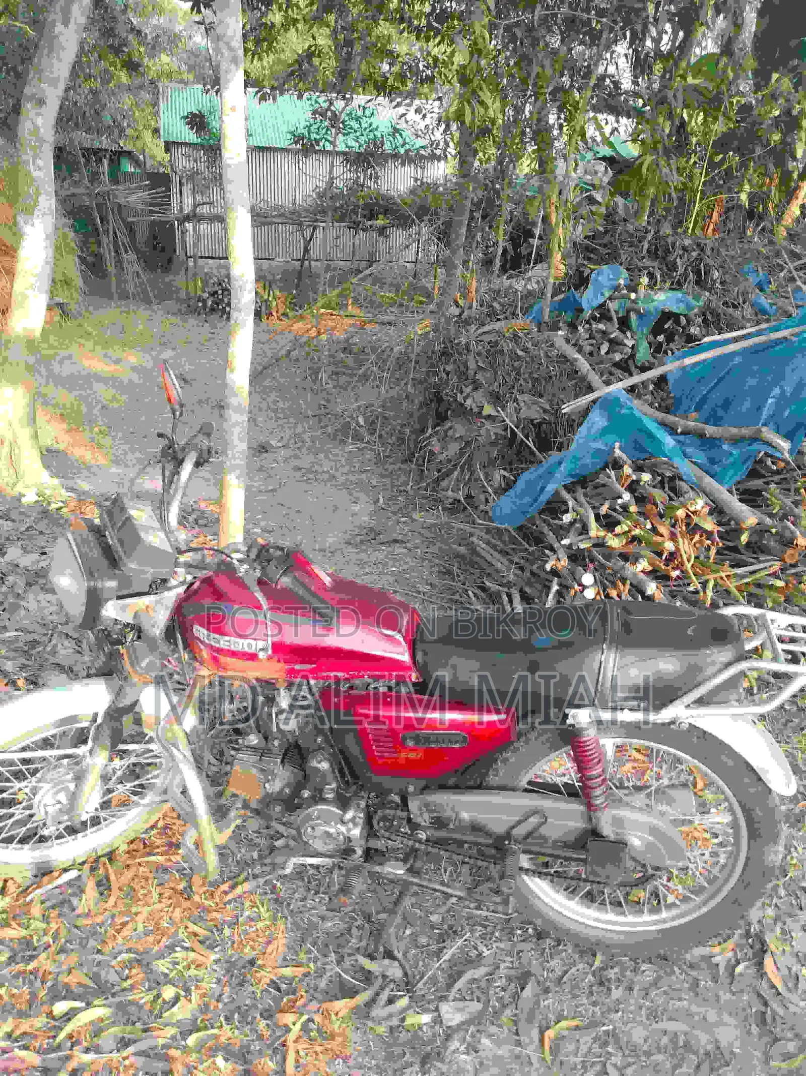 Suzuki 1998 Red