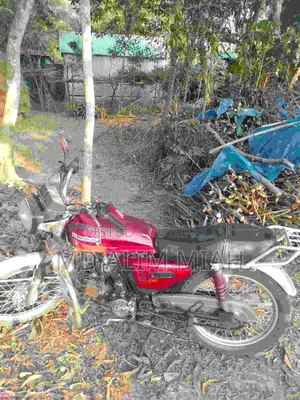 Suzuki 1998 Red