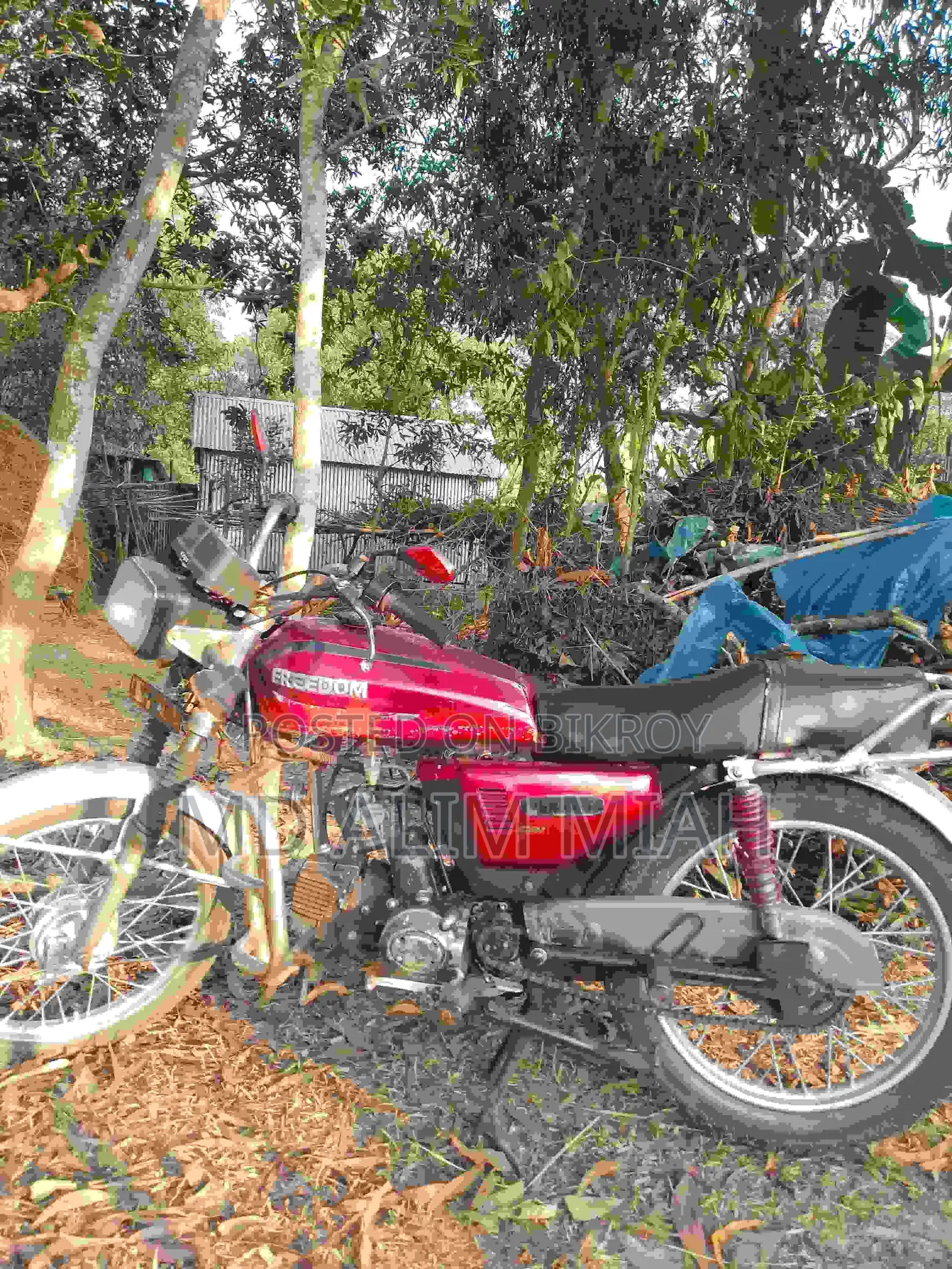 Suzuki 1998 Red