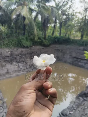 অপ্পো এ১৮ ৬৪ জিবি ব্ল্যাক