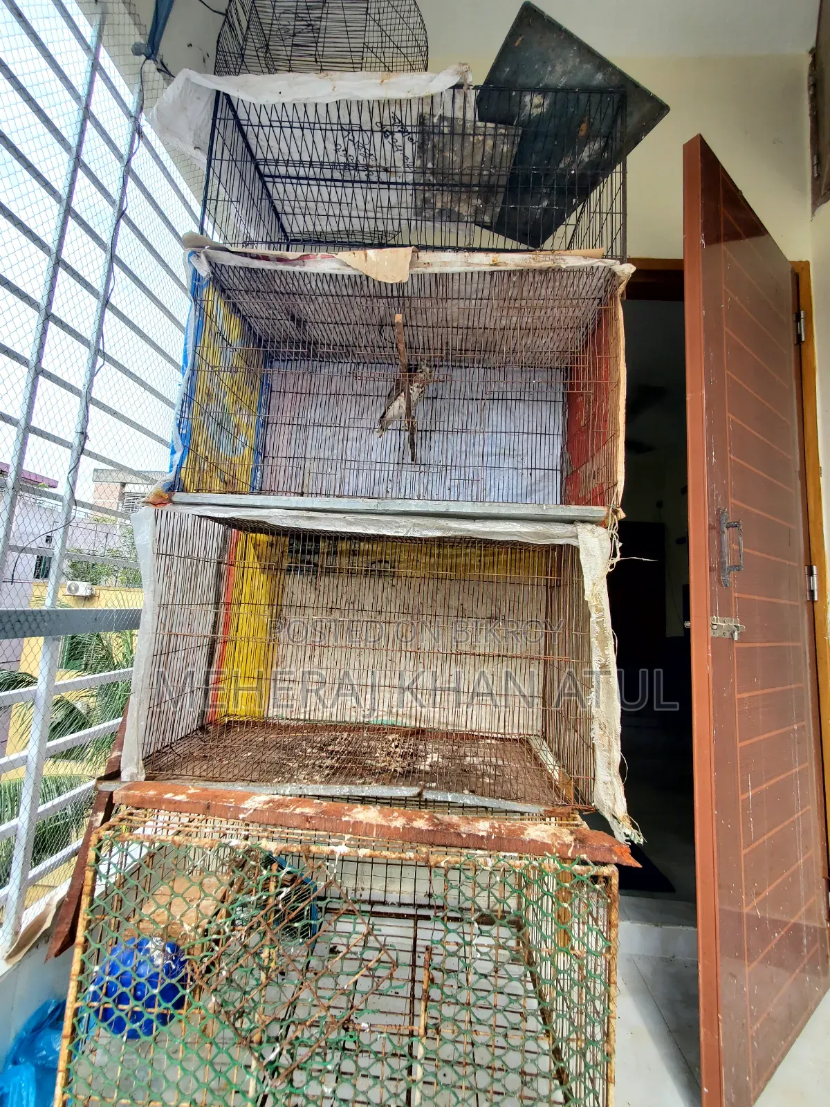 3 Feet Size Bird Cage