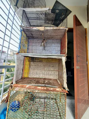 3 Feet Size Bird Cage