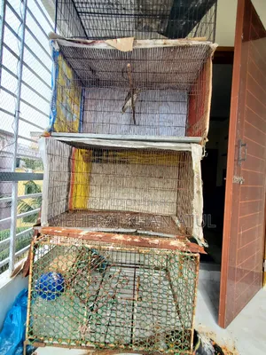 3 Feet Size Bird Cage
