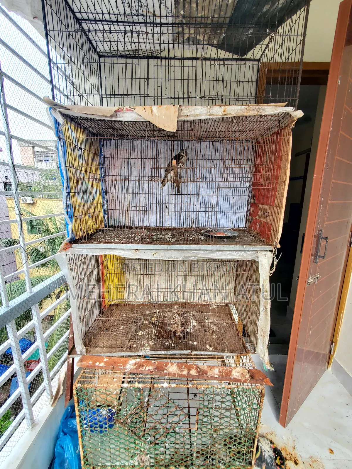 3 Feet Size Bird Cage