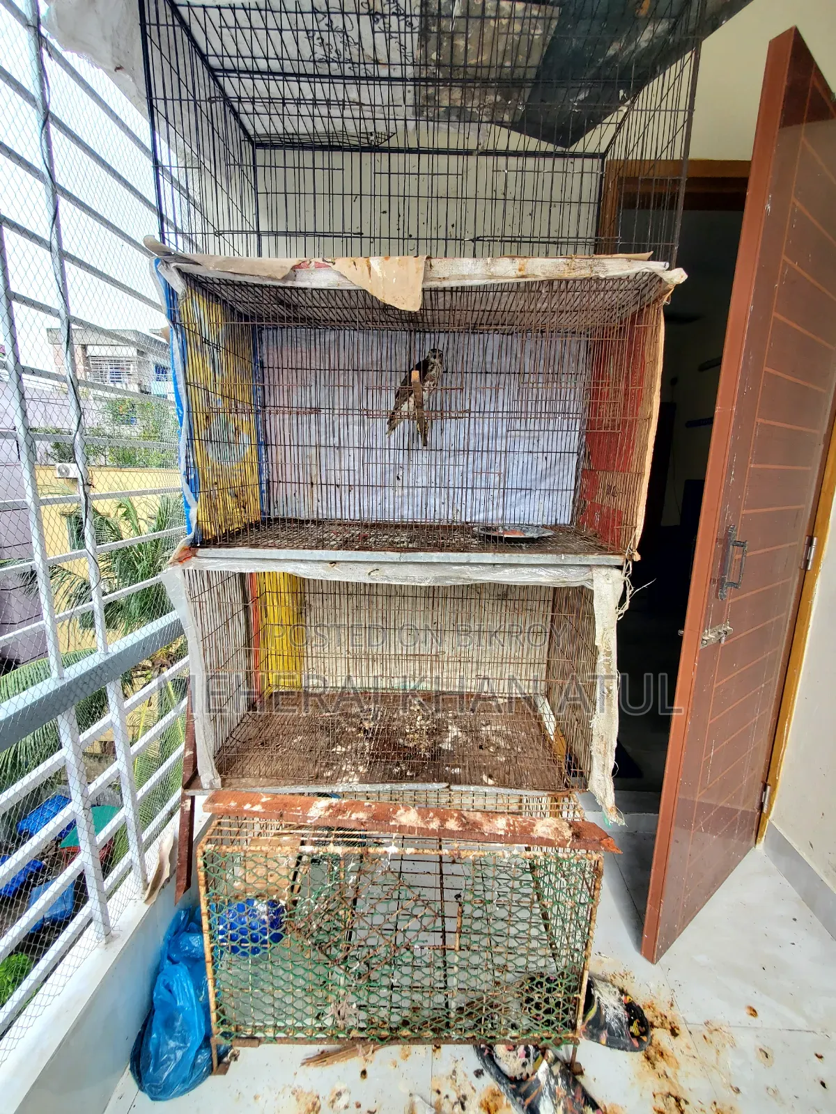 3 Feet Size Bird Cage