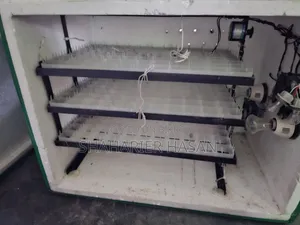 Automatic Egg Incubator Machine