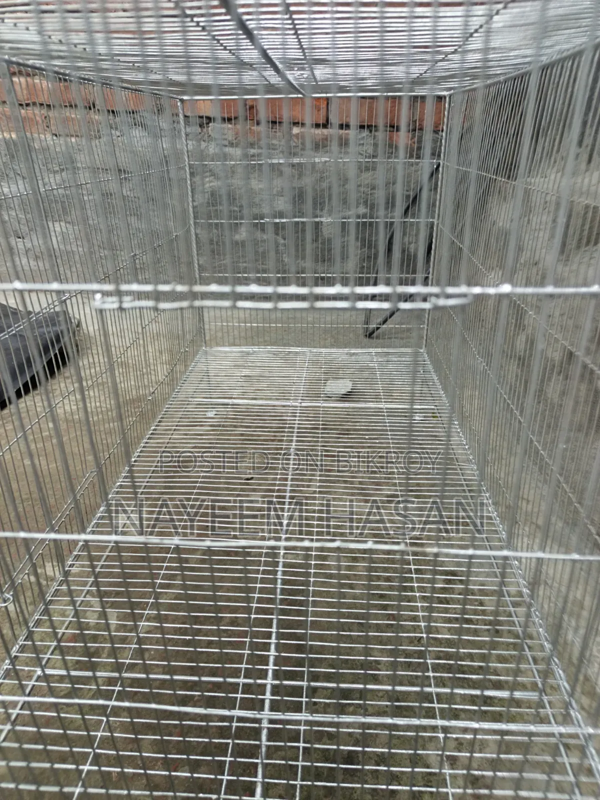 Bird Cage