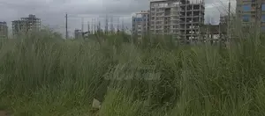 জমি বিক্রি হবে
